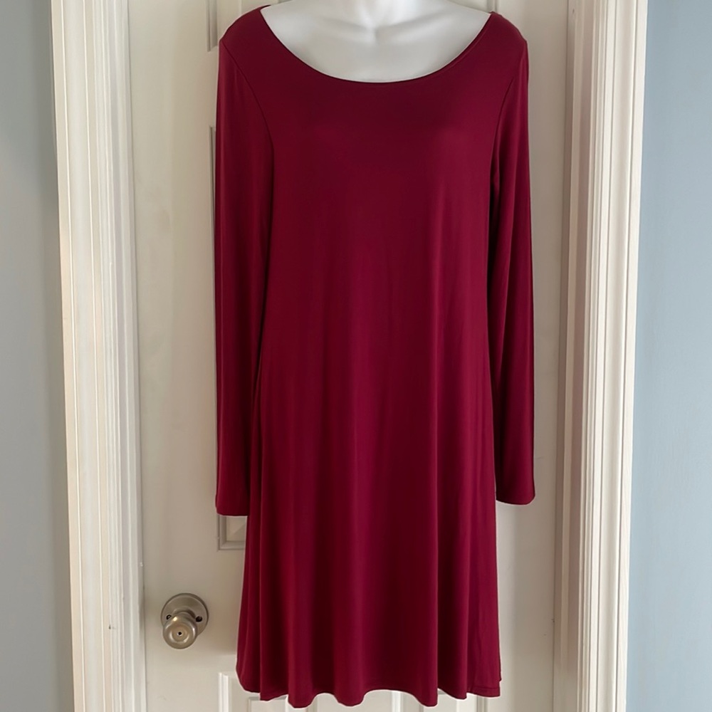 Never Worn Slip Dress